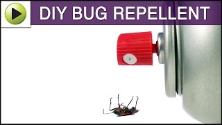 DIY Bug Repellent