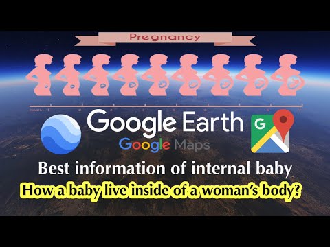 #716 different pregnancy stages sculpture in google earth and google maps #amazing #strange #60fps