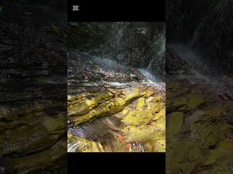 Mi travesía en Pauna, Boyacá.