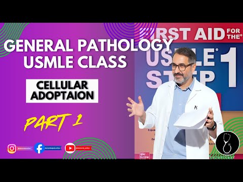 Cellular Adoption Part 1