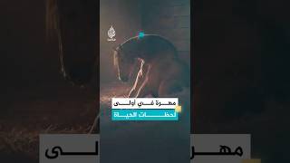 اللحظات الأولى لمهرة 
