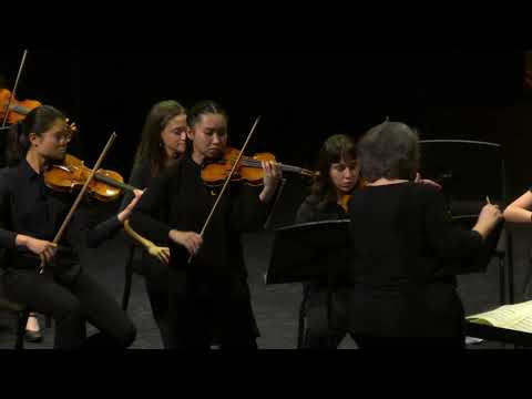 TWU Chamber Orchestra plays A. Vivaldi — Winter from The Four Seasons, Op.8 (Live)