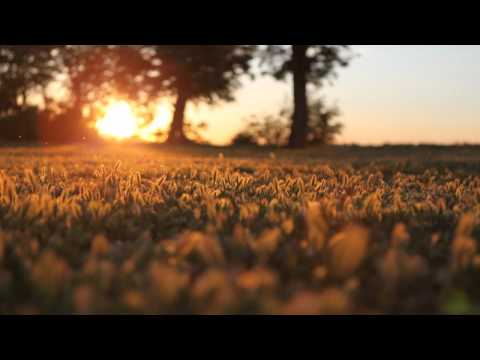 Anushka De'sai - Far & Close (Original Mix)