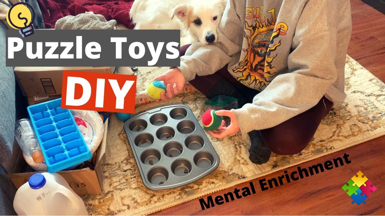 Brain Games for Dogs - DIY Puzzle Toys