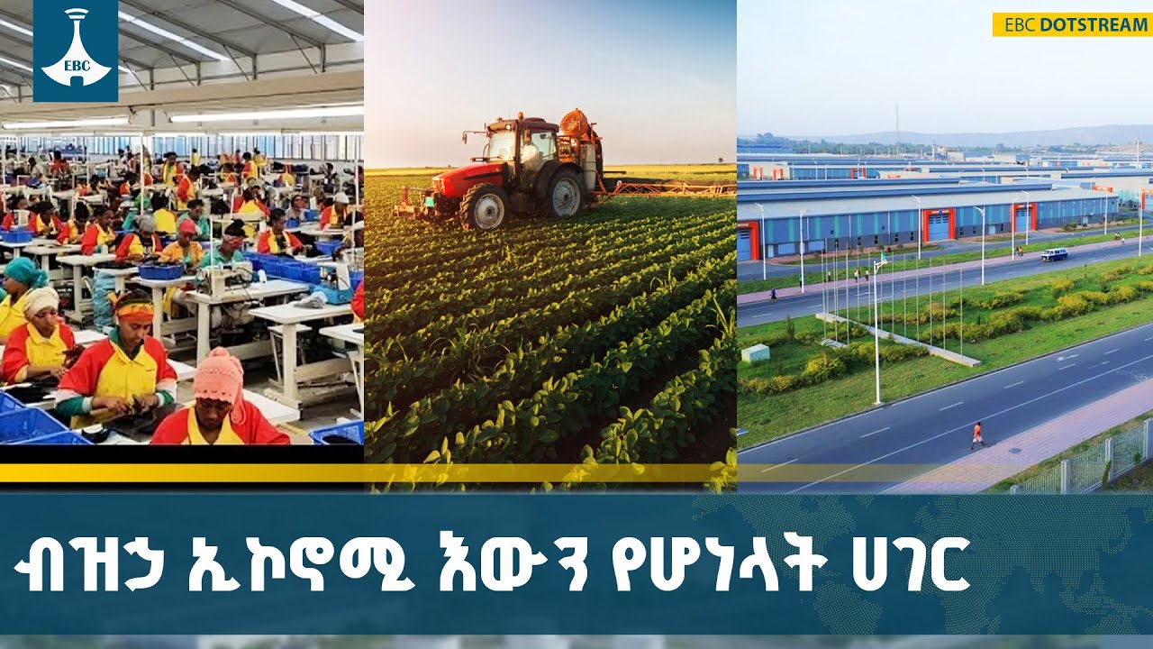 በኢትዮጵያ ከግብርና ባሻገር የተጀመረው የብዝኃ ኢኮኖሚ ሥርዓት | Ethiopia | Mixed Economy | ETV |