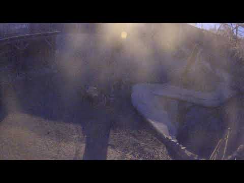 South American Enclosure in Budapest Zoo