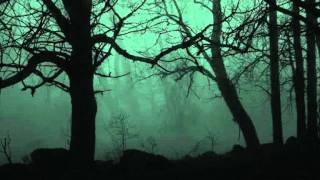 Uaral(    Chile)-Eternal Beauty of the Trees