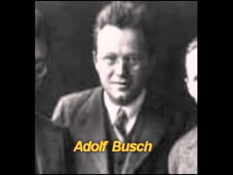 Adolf Busch: Concerto for Violin and Orchestra