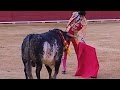 Matador gored to death in bullfight