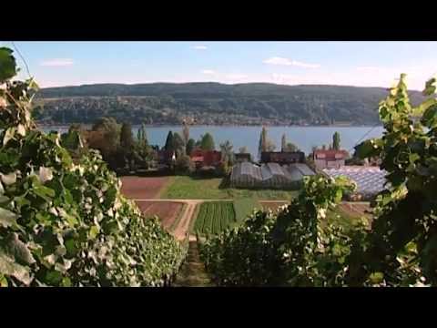 Bodensee Highlights