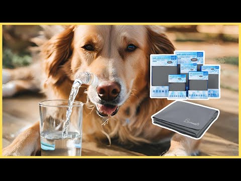 Tapis rafraîchissant Pecute : mon test après 3 semaines