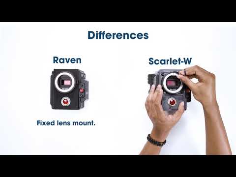 RED Raven vs RED Scarlet W