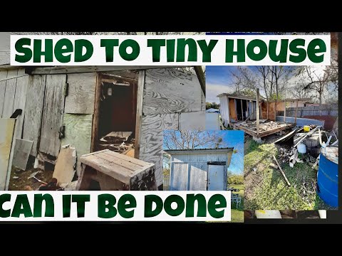 90's Tool SHED transformed to TINY HOME!