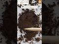 Is This The Best Method To Clean A Dirty Coin
