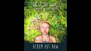 Trevor Hall - The Promised Land (With Lyrics)