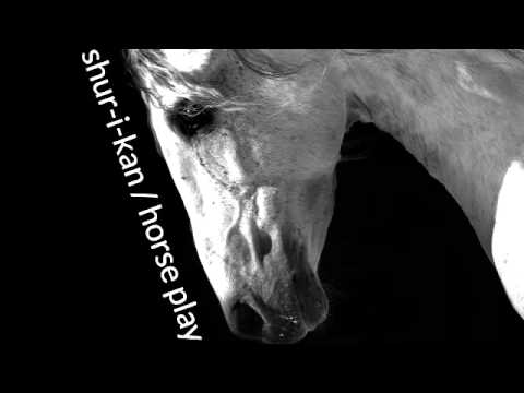 02 Shur-i-kan - Horse Play [Dark Energy Recordings]