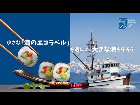 海洋管理評議会 (MSC) の 20 年