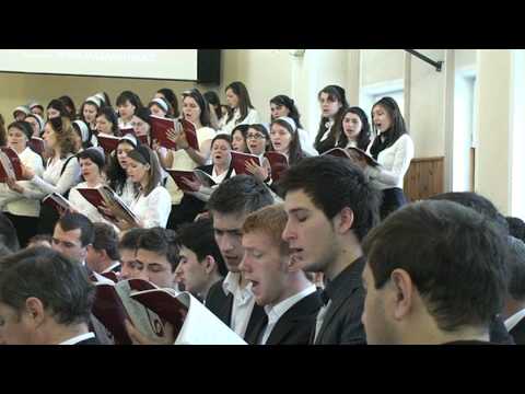 IN MIJLOCUL LAUDELOR    - CINTARE