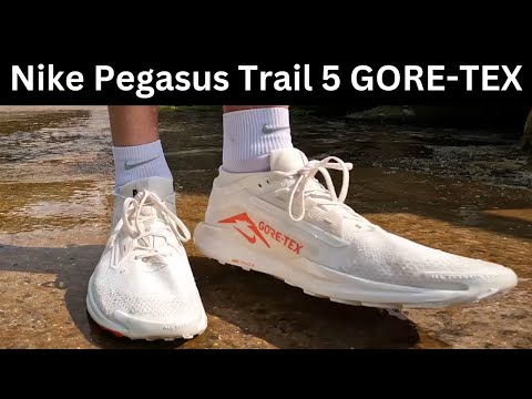 Nike Pegasus Trail 5 GORE-TEX