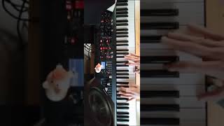 Editors - Counting Spooks - #editors #piano #pianocover #cover