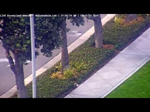 Live webcam of Disneyland Cam