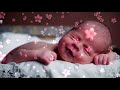 40 Minutos de Las Mejores Canciones para Bebés | El Reino Infantil
