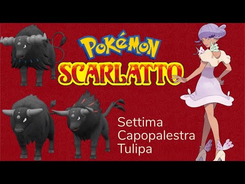 Pokèmon Scarlatto Tauros contro la settima Capopalestra TULIPA