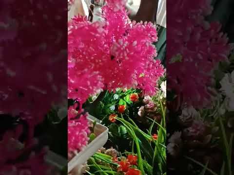 Beautiful Plastic Flowers 🌺🌹😲 #pls_subscribe_my_channel