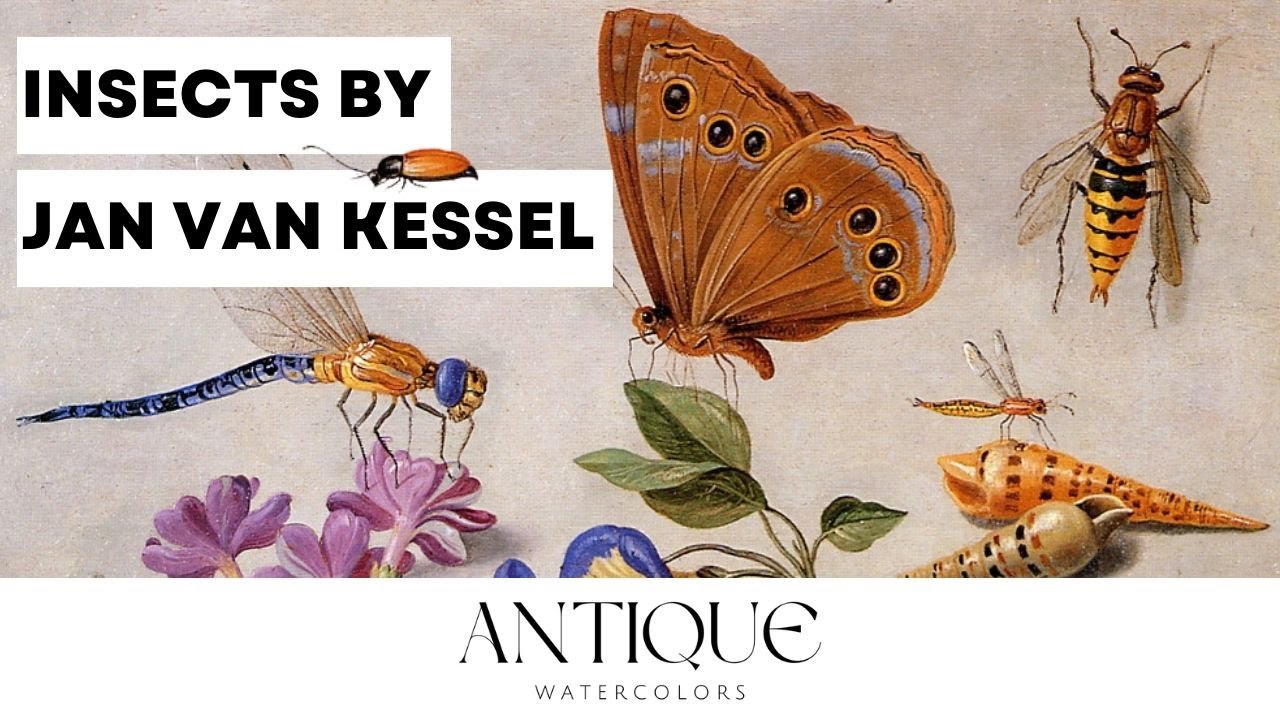 The Extraordinary Insect Paintings of Jan Van Kessel