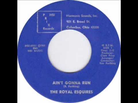 THE ROYAL ESQUIRES    AINT GONNA RUN