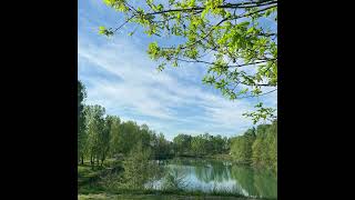 Darling - Said The Sky Ft. Missio (Slowed &amp; Low Pitched)