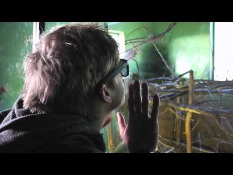 Drunk Adventures Episode 2: Danny goes to the Zoo