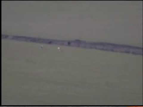 GALGOS CASA GUERRA DIA DE CAZA