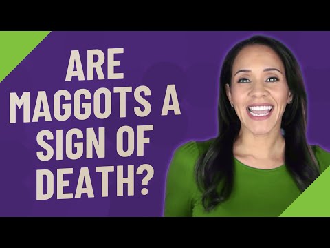 Are maggots a sign of death?