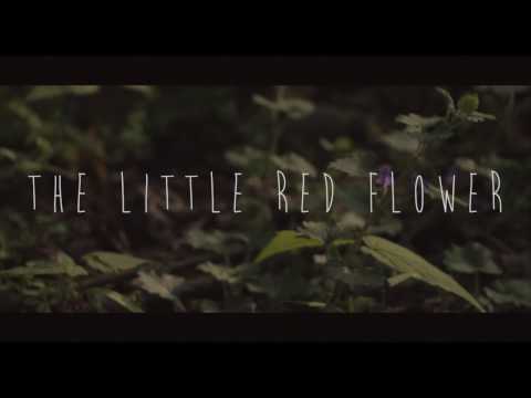 The Little Red Flower [Short Film]