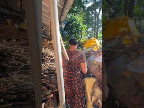 2 വർഷങ്ങൾക്ക് ശേഷം വളരെ ദൂരെ ഉള്ള ബന്ധുക്കൾ എന്റെ വീട്ടിലേക്ക് വരുക ആണ്.😅❤️ #shorts