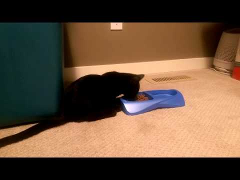 P15D300 - A New Addition