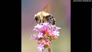 Download lagu Habis Basah mp3