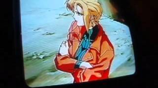 The Wild Flowers - Melt Like Ice - AMV