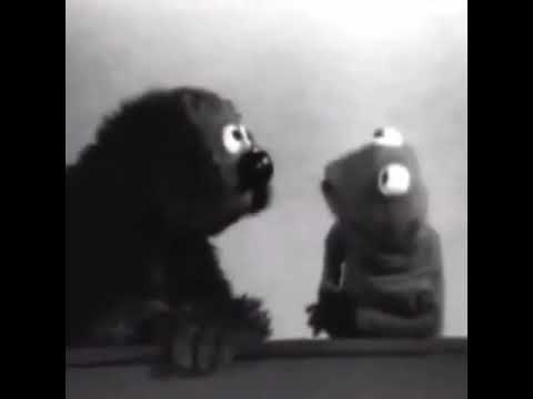 Rowlf Meets Kermit, Reupload- READ DESCRIPTION