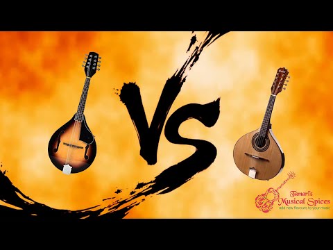 Mandolin Vs. Bandolim.  Is there any difference?