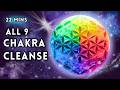 Unblock ALL 7 Chakras PLUS Earth Star Soul Star Chakra FULL Chakra Cleanse