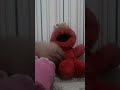 Tyco 1996 Tickle Me Elmo Flea Market Finds Fixed