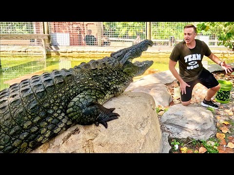 Private Tour of World's BEST Alligator Park!