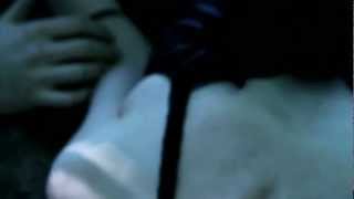 Kelly Padrick - "TANGLED FOREST" (official video)