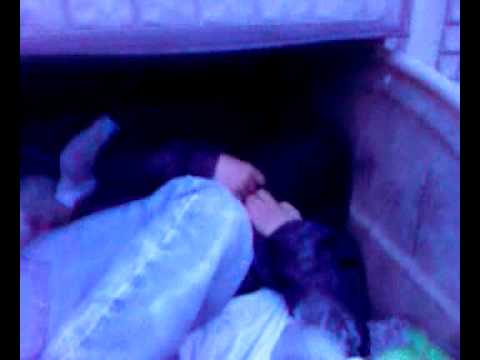 Chochołek w śmietniku