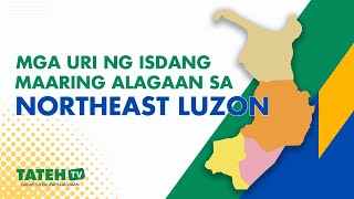 Mga uri ng Isdang pwedeng alagaan sa Cagayan Valley  | TatehTV Episode 148