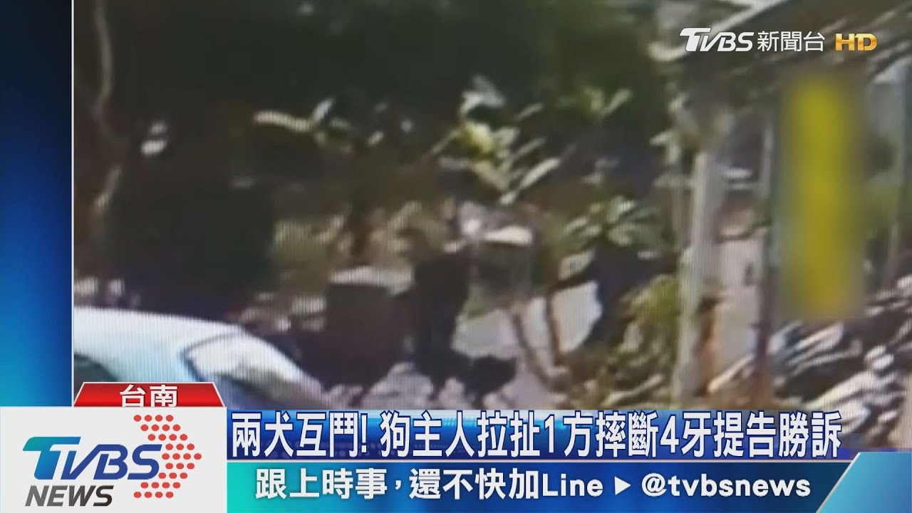 兩犬互鬥！　狗主人拉扯1方摔斷4牙提告勝訴