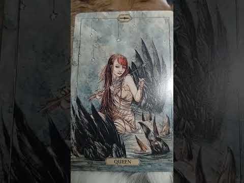 message for 11-5-2022