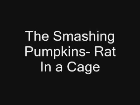 The Smashing Pumpkins- Rat In a Cage